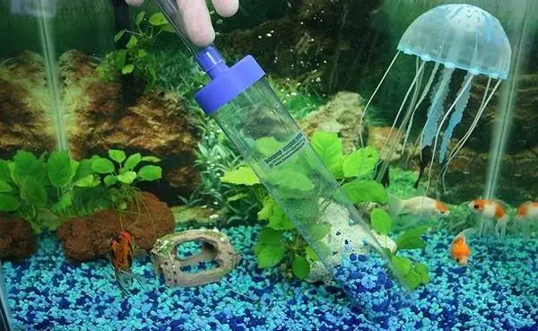 Hướng Dẫn Cách Vệ Sinh Bể Cá Mini Tại Nhà Đơn Giản Nhưng Đem Lại Hiệu Quả Tốt Nhất