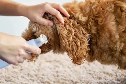 Chuẩn Bị Dụng Cụ Sạch Sẽ, An Toàn Chuẩn Bị Dụng Cụ Sạch Sẽ, An Toàn