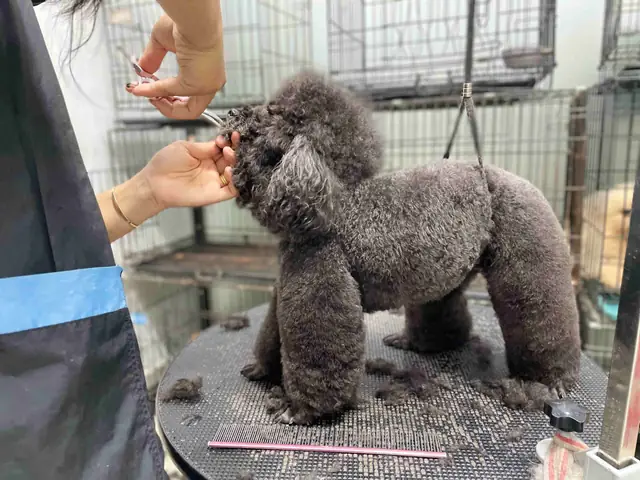 Bước 2: Thoa Bột Nhổ Lông Bước 2: Thoa Bột Nhổ Lông