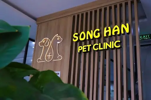 Sông Hàn Pet - Địa Chỉ Uy Tín Về Chăm Sóc Sức Khỏe Cho Cún Cưng Sông Hàn Pet - Địa Chỉ Uy Tín Về Chăm Sóc Sức Khỏe Cho Cún Cưng