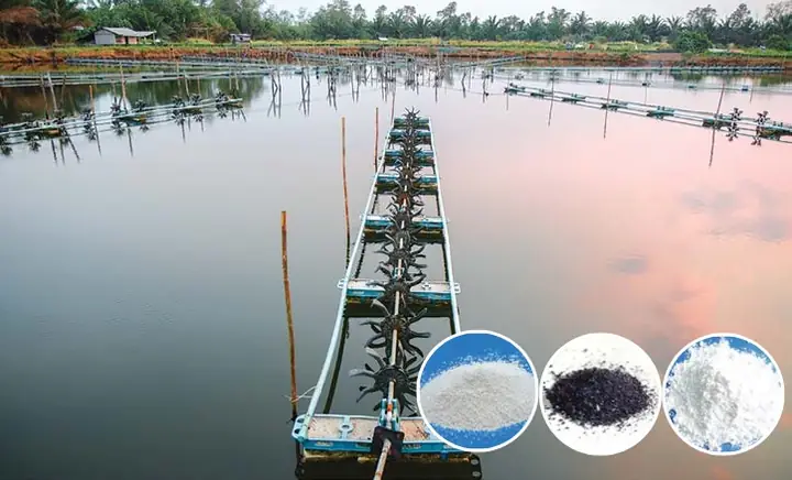 Xử Lý Nước Ao Bằng Pac