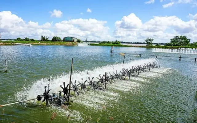 Dùng Hệ Thống Lọc Nước Dùng Hệ Thống Lọc Nước