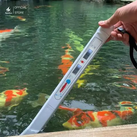 Cách Xử Lý Nước Trước Khi Thả Cá: Hướng Dẫn Toàn Diện Cho Người Mới Bắt Đầu