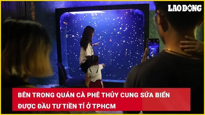Top 10 Quán Cafe Cá Cảnh Tphcm: Không Gian Thư Giãn Đúng Chất Top 10 Quán Cafe Cá Cảnh Tphcm: Không Gian Thư Giãn Đúng Chất