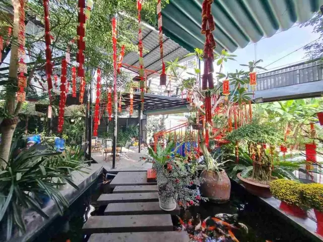 Xám Koi Cafe Cá Koi Bến Tre