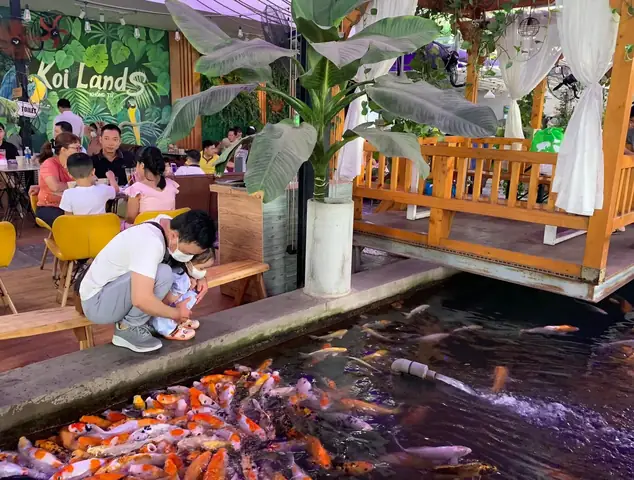 Gợi Ý 5 Quán Cafe Cá Koi Thủ Đức Để Thư Giãn Cùng Gia Đình