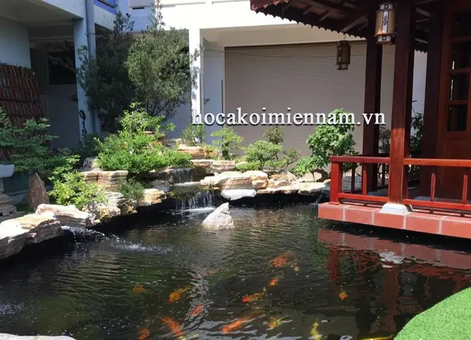 Cai Tao Ho Ca Koi