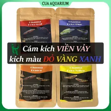 Hướng Dẫn Lựa Chọn Cám Cargill Phù Hợp Cho Từng Giai Đoạn Phát Triển Của Cá Lóc
