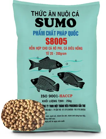 Cám Công Nghiệp Cho Cá Chép Có Tốt Không? Hướng Dẫn Chọn & Sử Dụng Hiệu Quả