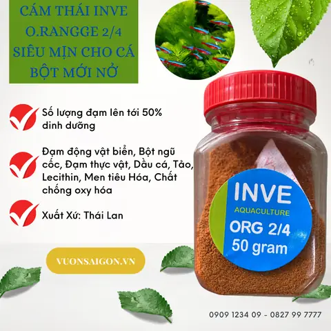 Ưu Điểm Cám Thái Inve 2/4