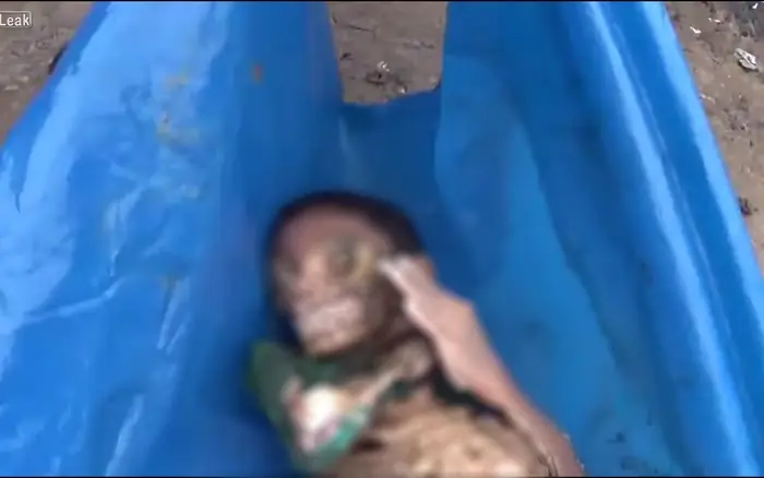 Cậu Bé Bị Cá Piranha Ăn Thịt: Sự Thật Về Loài Cá Được Mệnh Danh Là "sát Thủ Kinh Hoàng" Của Amazon