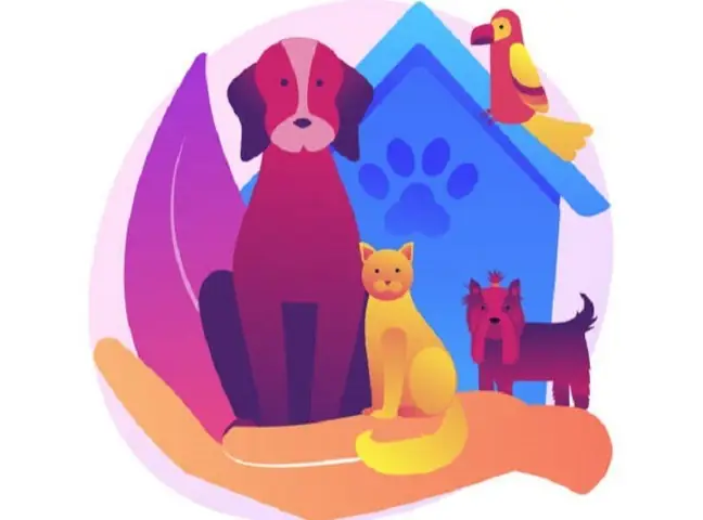 Câu Chuyện Vì Sao Chó Và Mèo Ghét Nhau