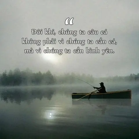 Stt Hay Về Cá Cảnh: Nguồn Cảm Hứng Bất Tận Từ Thế Giới Thủy ... Stt Hay Về Cá Cảnh: Nguồn Cảm Hứng Bất Tận Từ Thế Giới Thủy ...