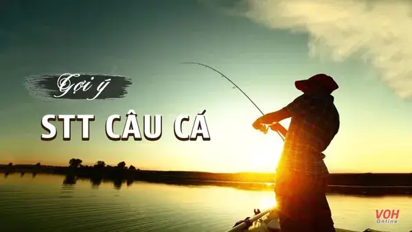 Tổng Hợp 96 Stt Câu Cá Hài Hước, Vui Vẻ Tổng Hợp 96 Stt Câu Cá Hài Hước, Vui Vẻ