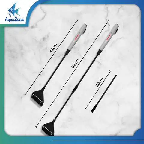 Cây Cọ Rêu Bể Cá: Loài Thực Vật Thủy Sinh Tuyệt Đẹp Cho Người Mới Bắt Đầu