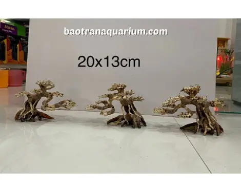 Lũa Bonsai Cho Hồ Cá Thủy Sinh Mọi Kích Thước - Bảo Trân Aquarium