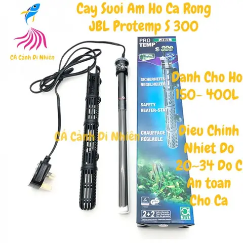 Cây Sưởi Hồ Cá Rồng: Hướng Dẫn Chọn Và Sử Dụng An Toàn