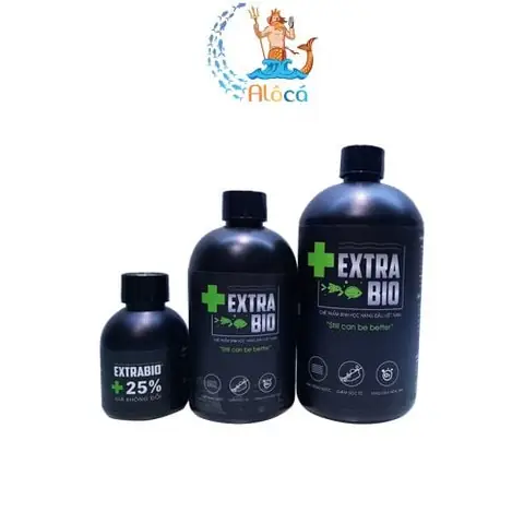 Hướng Dẫn Chi Tiết Cách Làm Chai Thủy Tinh Trong Nước Hồ Cá Tại Nhà