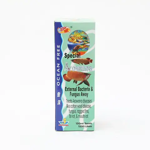 Tầm Quan Trọng Của Sức Khỏe Cá Rồng Và Các Bệnh Thường Gặp