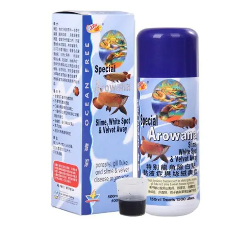 Cẩm Nang Trị Nấm Toàn Tập Cho Cá Rồng: Các Loại Thuốc Hiệu Quả Và Cách Sử Dụng An Toàn Cẩm Nang Trị Nấm Toàn Tập Cho Cá Rồng: Các Loại Thuốc Hiệu Quả Và Cách Sử Dụng An Toàn