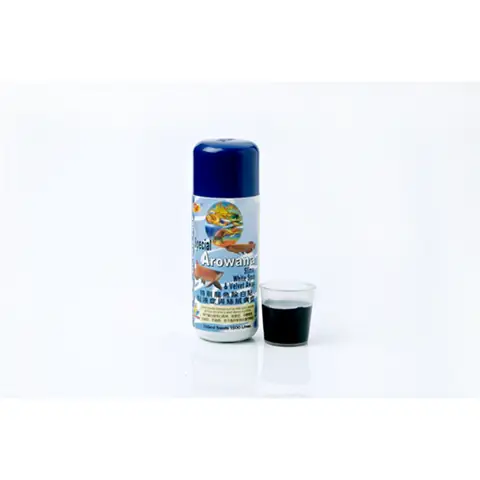 Cẩm Nang Trị Nấm Toàn Tập Cho Cá Rồng: Các Loại Thuốc Hiệu Quả Và Cách Sử Dụng An Toàn Cẩm Nang Trị Nấm Toàn Tập Cho Cá Rồng: Các Loại Thuốc Hiệu Quả Và Cách Sử Dụng An Toàn