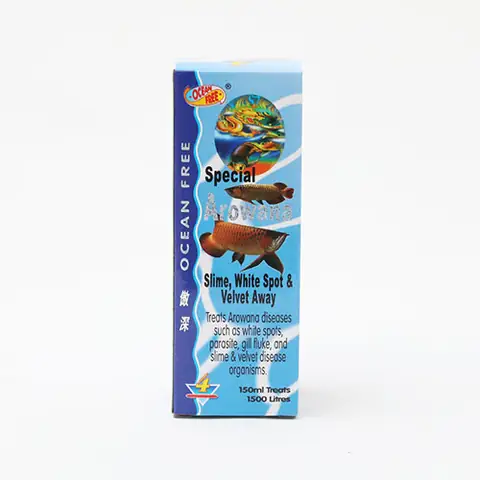 Cẩm Nang Trị Nấm Toàn Tập Cho Cá Rồng: Các Loại Thuốc Hiệu Quả Và Cách Sử Dụng An Toàn Cẩm Nang Trị Nấm Toàn Tập Cho Cá Rồng: Các Loại Thuốc Hiệu Quả Và Cách Sử Dụng An Toàn