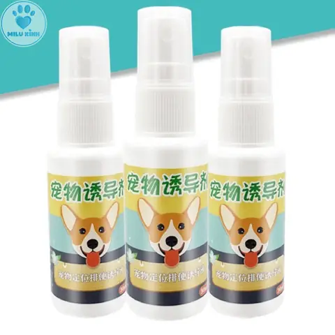 Chai Xịt Vệ Sinh Cho Chó: Hướng Dẫn Sử Dụng Hiệu Quả Từ Chuyên Gia