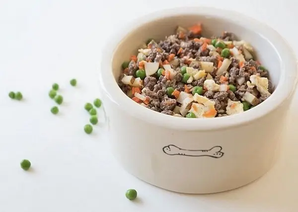 Bổ Sung Dinh Dưỡng Với Thức Ăn Tươi Khi Chăm Chó Phốc Sóc