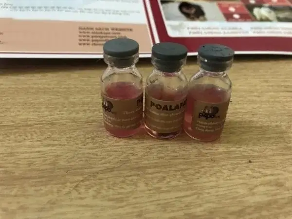 Dinh Dưỡng Cho Chó Sau Khi Phối Giống