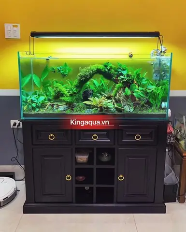 Chân Bể Cá Bằng Sắt Ốp Gỗ: Cẩm Nang Chọn Lựa Và Bảo Quản Toàn Tập