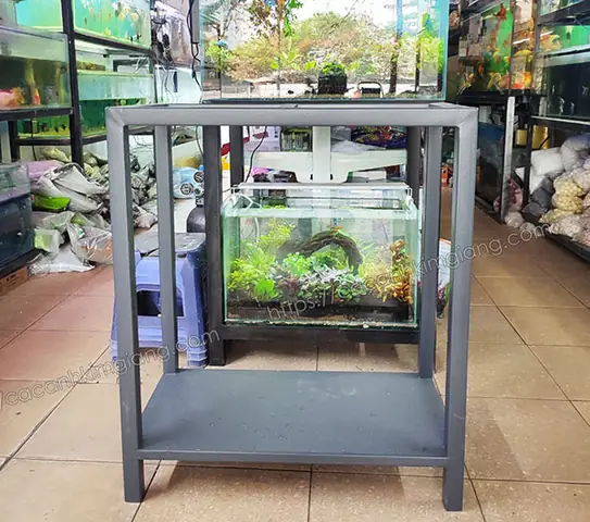 Chân Bể Cá Cảnh: Cẩm Nang Toàn Tập Về Chọn Mua, Thiết Kế & Bảo Quản Chân Bể Cá Cảnh: Cẩm Nang Toàn Tập Về Chọn Mua, Thiết Kế & Bảo Quản