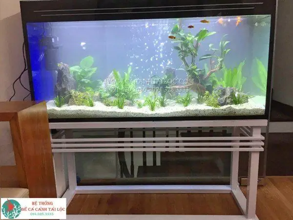 Một Số Mẫu Chân Sắt Bể Cá Được Khách Hàng Lựa Chọn Nhiều Nhất