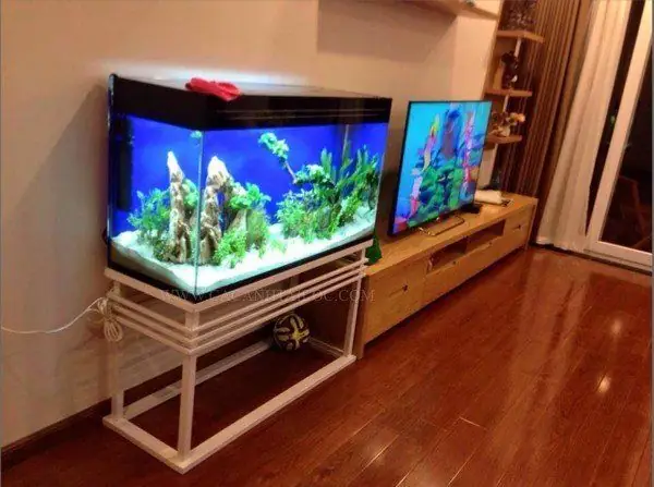 Một Số Mẫu Chân Sắt Bể Cá Được Khách Hàng Lựa Chọn Nhiều Nhất