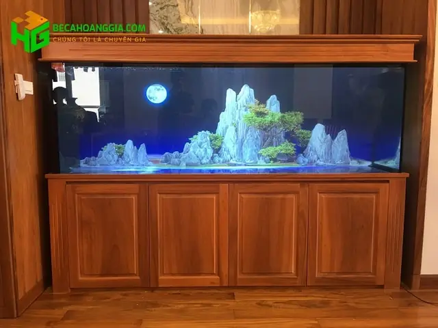 Có Nên Bỏ Sỏi Vào Hồ Cá Không? Lợi Ích, Hạn Chế & Cách Chọn Chuẩn