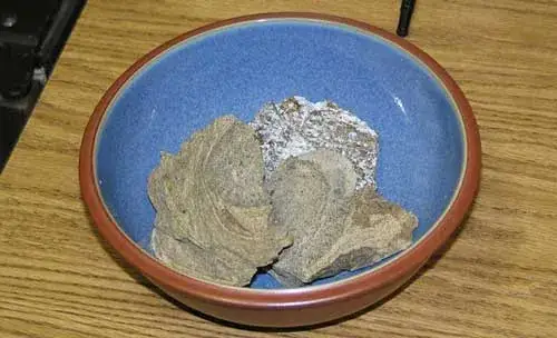 Chất Nôn Cá Voi Là Gì? Long Diên Hương Và Giá Trị Kỳ Lạ Trong Ngành Nước Hoa