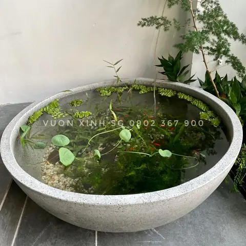 Chậu Đá Mài Hình Chảo - Nuôi Cá