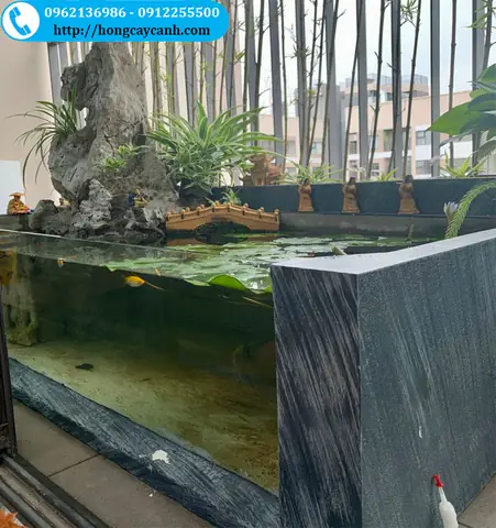 Chậu Xi Măng Kính Nuôi Cá Với Kích Thước 80x20x60 Có Nét Đơn Giản, Hiện Đại, Phù Hợp Với Nhiều Không Gian, Đăc Biệt Là Ban Công. Chậu Xi Măng Kính Nuôi Cá Với Giá Cả Phù Hợp, Chất Lượng Đảm Bảo, Đáng Tin Cậy Để Bạn Đầu Tư. Chậu Xi Măng Kính Nuôi Cá Với Kích Thước 80x20x60 Có Nét Đơn Giản, Hiện Đại, Phù Hợp Với Nhiều Không Gian, Đăc Biệt Là Ban Công. Chậu Xi Măng Kính Nuôi Cá Với Giá Cả Phù Hợp, Chất Lượng Đảm Bảo, Đáng Tin Cậy Để Bạn Đầu Tư.