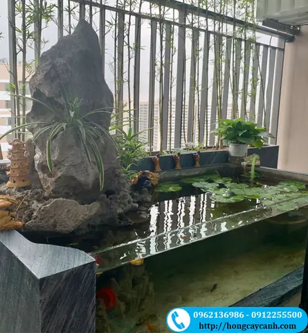 Chậu Xi Măng Kính Nuôi Cá Với Kích Thước 80x20x60 Có Nét Đơn Giản, Hiện Đại, Phù Hợp Với Nhiều Không Gian, Đăc Biệt Là Ban Công. Chậu Xi Măng Kính Nuôi Cá Với Giá Cả Phù Hợp, Chất Lượng Đảm Bảo, Đáng Tin Cậy Để Bạn Đầu Tư. Chậu Xi Măng Kính Nuôi Cá Với Kích Thước 80x20x60 Có Nét Đơn Giản, Hiện Đại, Phù Hợp Với Nhiều Không Gian, Đăc Biệt Là Ban Công. Chậu Xi Măng Kính Nuôi Cá Với Giá Cả Phù Hợp, Chất Lượng Đảm Bảo, Đáng Tin Cậy Để Bạn Đầu Tư.