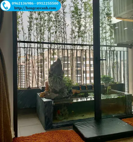 Chậu Xi Măng Kính Nuôi Cá Với Kích Thước 80x20x60 Có Nét Đơn Giản, Hiện Đại, Phù Hợp Với Nhiều Không Gian, Đăc Biệt Là Ban Công. Chậu Xi Măng Kính Nuôi Cá Với Giá Cả Phù Hợp, Chất Lượng Đảm Bảo, Đáng Tin Cậy Để Bạn Đầu Tư. Chậu Xi Măng Kính Nuôi Cá Với Kích Thước 80x20x60 Có Nét Đơn Giản, Hiện Đại, Phù Hợp Với Nhiều Không Gian, Đăc Biệt Là Ban Công. Chậu Xi Măng Kính Nuôi Cá Với Giá Cả Phù Hợp, Chất Lượng Đảm Bảo, Đáng Tin Cậy Để Bạn Đầu Tư.