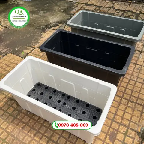 Chau-nhua-chu-nhat-trong-rau-nuoi-ca-tien-loi