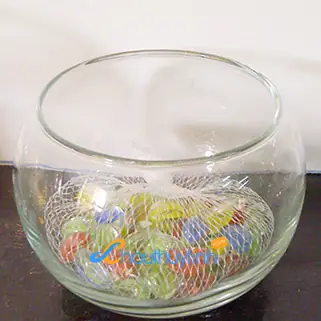 Chậu Nuôi Cá Thủy Tinh: Hướng Dẫn Chi Tiết Từ Cơ Bản Đến Nâng Cao