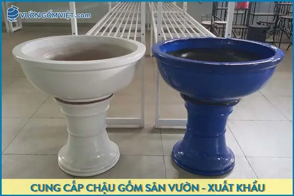 Chậu Sứ Nuôi Cá Cảnh: Hướng Dẫn Chi Tiết Từ A-z