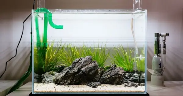 Khái Niệm Về Máy Lọc Nước Bể Cá