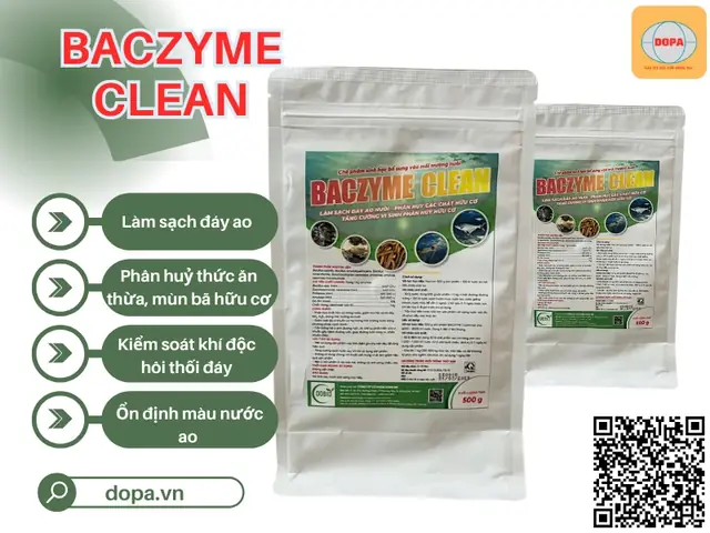 Chế Phẩm Sinh Học Nuôi Cá