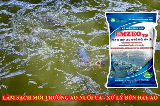 Chế Phẩm Sinh Học Cho Ao Cá: Lợi Ích Và Cách Dùng