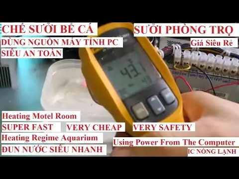 Hướng Dẫn Chi Tiết Cách Chọn Và Sử Dụng Chế Sưởi Bể Cá An Toàn, Hiệu Quả