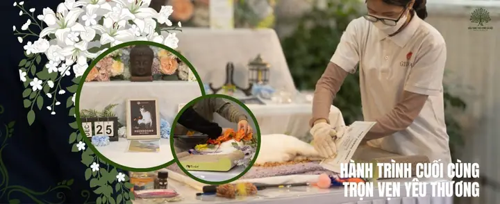 Hoả Táng Thú Cưng, Hoả Táng Chó Mèo Là Gì? Hoả Táng Thú Cưng, Hoả Táng Chó Mèo Là Gì?