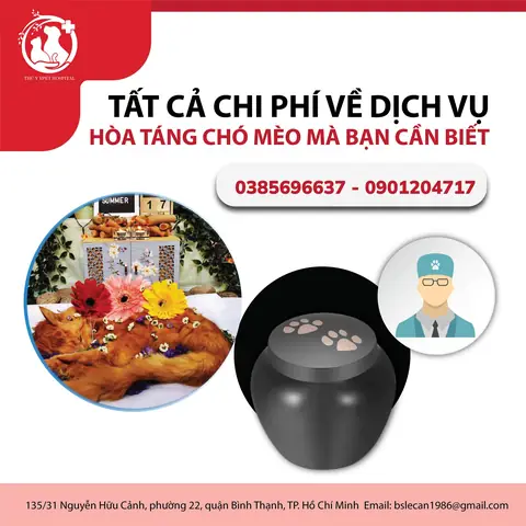 Tất Cả Chi Phí Về Dịch Vụ Hỏa Táng Chó Mèo Mà Bạn Cần Biết Tất Cả Chi Phí Về Dịch Vụ Hỏa Táng Chó Mèo Mà Bạn Cần Biết