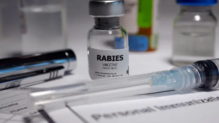 Tiêm Phòng Chó Dại Cắn Bao Nhiêu Tiền?