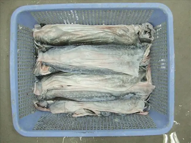 Hướng Dẫn Chiết Xuất Collagen Từ Da Cá Tra Tại Nhà: Quy Trình, Lợi Ích Và Lưu Ý